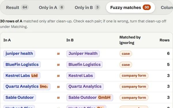 The fuzzy matches list: juniper health to Juniper Health, Kestrel Labs Ltd to Kestrel Labs, TINWARE to Tinware Ltd, each with the reason it matched