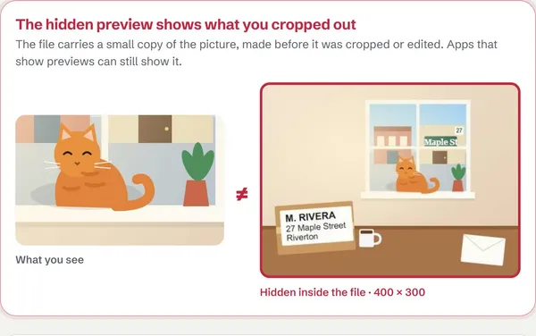 A photo cropped to a cat on a windowsill, beside its hidden preview showing the whole room and an address on a parcel